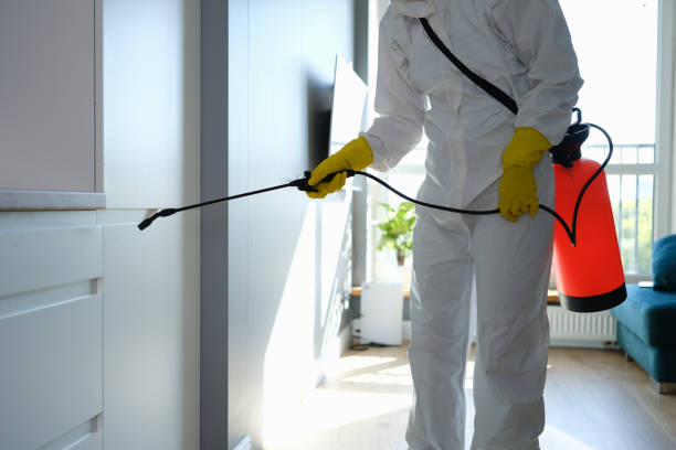 Best Residential Mold Removal  in Brimfield, OH