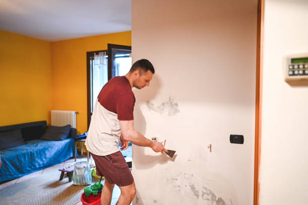 Best Mold Remediation  in Brimfield, OH